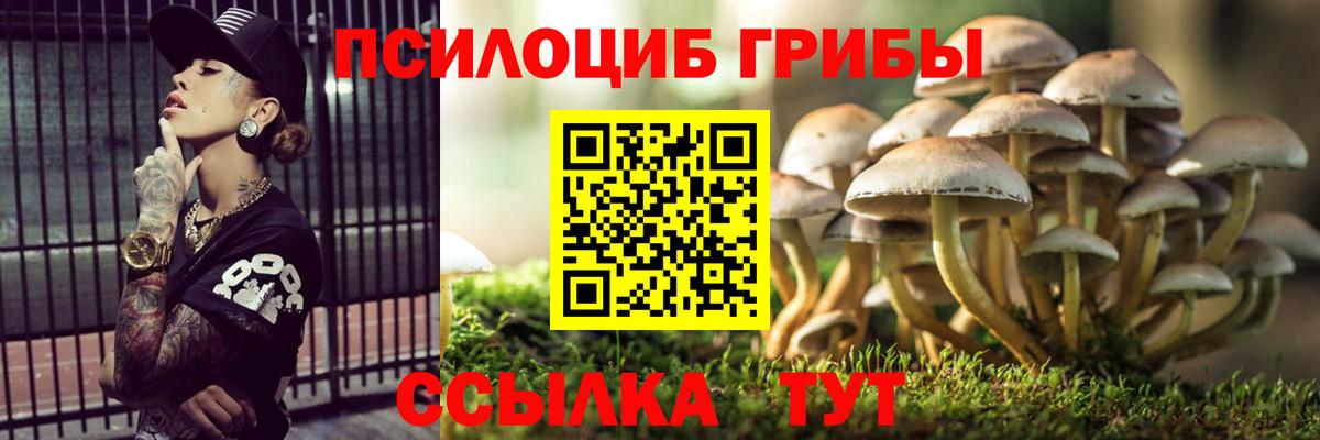Галлюциногенные грибы мухоморы Спасск-Дальний
